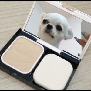 Meet your Posher, Ramona